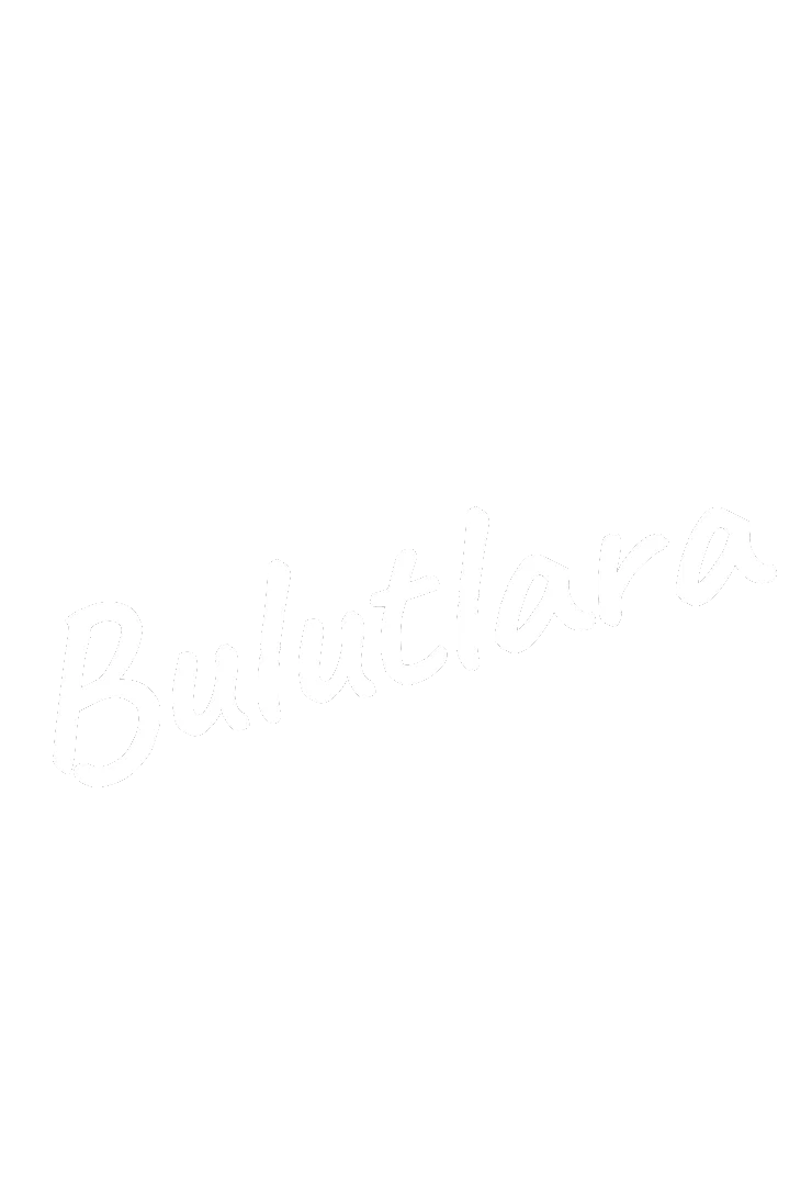bulutlara